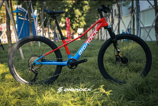 BICI BAMBINI COMPLETA - BIGROCK