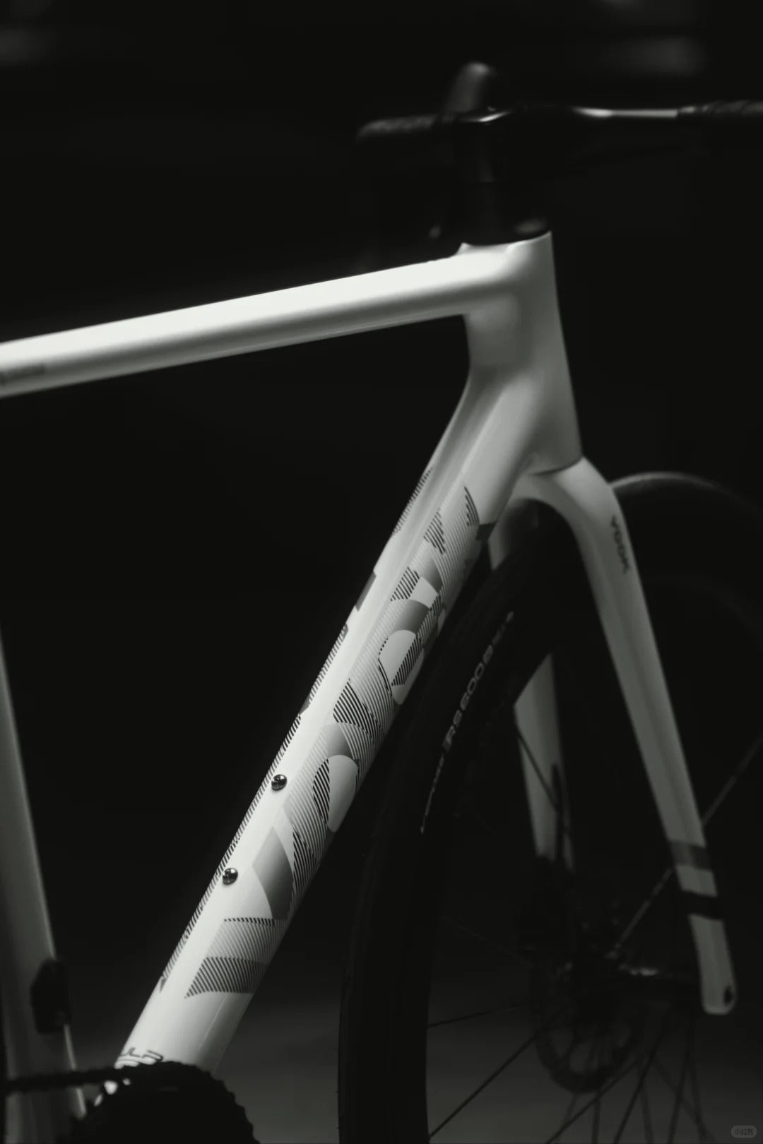 VOOK V8 BIKE CON SENSAH EVS